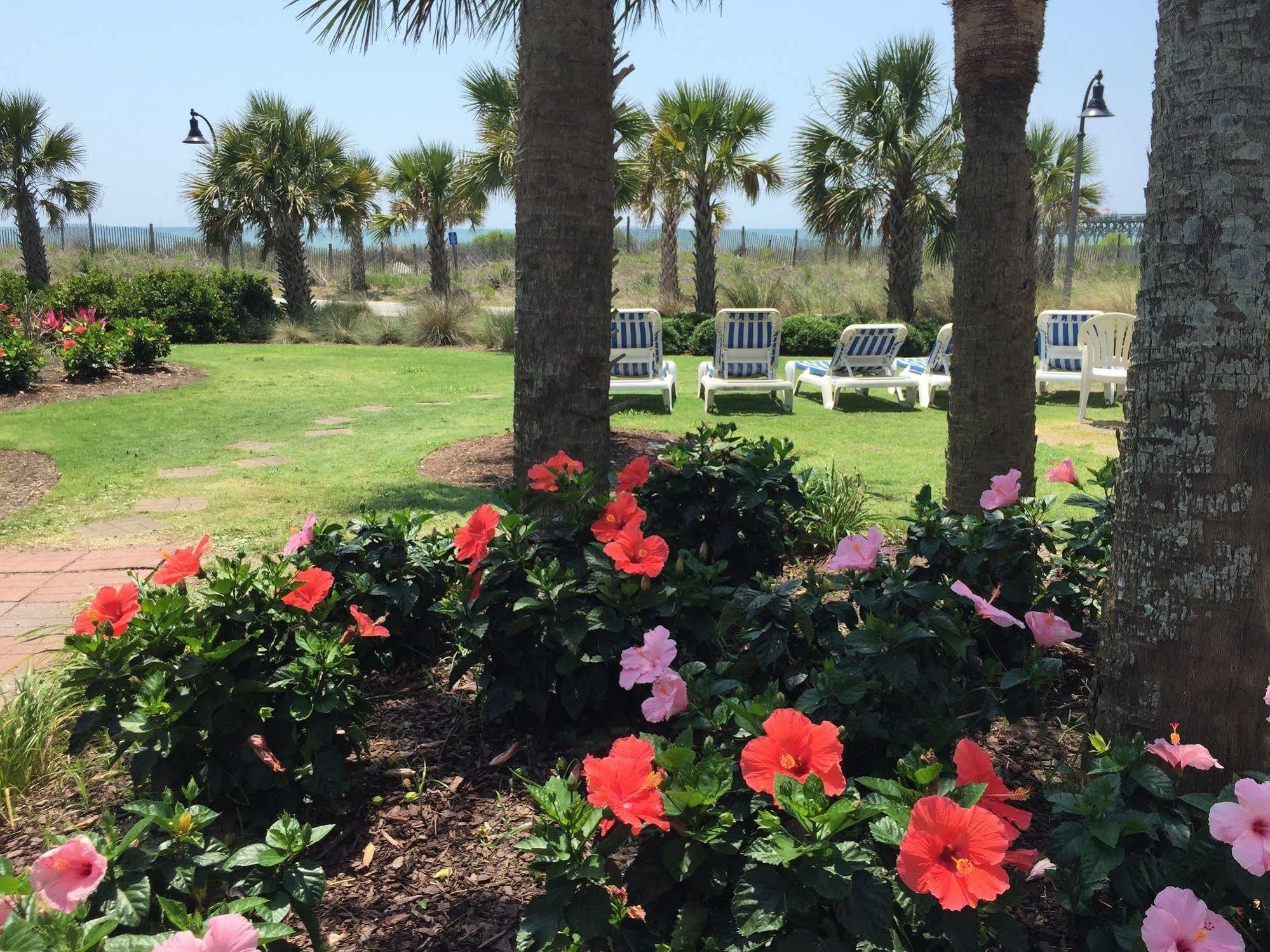 Windsurfer Hotel Myrtle Beach Exteriör bild